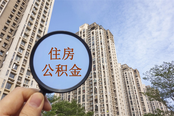 正规个人社保代缴公司-温州公积金服务平台